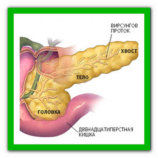 Вирсунгов проток это. Вирсунгова протока поджелудочной железы. Панкреатический проток поджелудочной железы. Увеличен вирсунгов проток поджелудочной железы что это такое. Расширение вирсунгова протока поджелудочной железы.